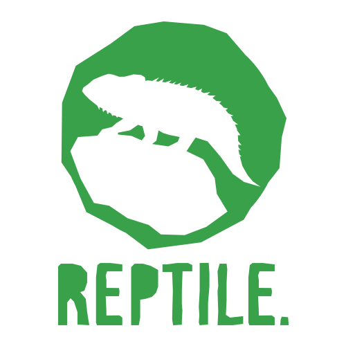 Reptile